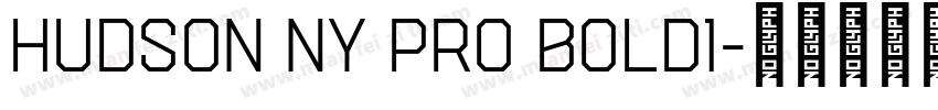 Hudson NY Pro Bold1字体转换